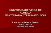 UNIVERSIDADE VEIGA DE ALMEIDA FISIOTERAPIA / TRAUMATOLOGIA Traumas da Pelve e Quadril Aula 7 /2010 Prof. Carlos Victor Mendes.