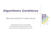 Algoritmos Genéticos Marcone Jamilson Freitas Souza Departamento de Computação Universidade Federal de Ouro Preto .