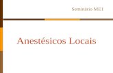 Anestésicos Locais Seminário ME1. Composição da Fibra Nervosa.