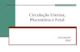 Circulação Uterina, Placentária e Fetal CECAESP 2007.