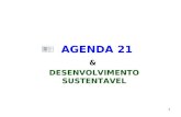 1 AGENDA 21 & DESENVOLVIMENTO SUSTENTAVEL. 2 O QUE É DESENVOLVIMENTO SUSTENTÁVEL? O governo brasileiro adota a definição apresentada no documento Nosso.