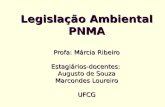 Legislação Ambiental PNMA Profa: Márcia Ribeiro Estagiários-docentes: Augusto de Souza Marcondes Loureiro UFCG.
