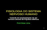 1 FISIOLOGIA DO SISTEMA NERVOSO HUMANO Controle do funcionamento do ser humano através de impulsos elétricos Prof.César Lima.