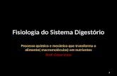 Fisiologia do Sistema Digestório Processo químico e mecânico que transforma o alimento( macromoléculas) em nutrientes Prof. César Lima 1.