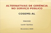 Março de 14LENIR SANTOS 1 ALTERNATIVAS DE GERÊNCIA NO SERVIÇO PÚBLICO COSEMS-AL MACEIO Lenir Santos Novembro 2009.