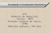 Introdução à Visualização Volumétrica por Roberto de Beauclair Seixas, IMPA Anselmo Cardoso de Paiva, UFMA Marcelo Gattass, PUC-Rio.