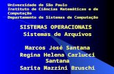 SISTEMAS OPERACIONAIS Sistemas de Arquivos Marcos José Santana Regina Helena Carlucci Santana Sarita Mazzini Bruschi Universidade de São Paulo Instituto.