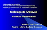 Sistemas de Arquivos SISTEMAS OPERACIONAIS Marcos José Santana Regina Helena Carlucci Santana Universidade de São Paulo Instituto de Ciências Matemáticas.