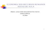 1 ECONOMIA DOS RECURSOS HUMANOS NOTAS DE AULA PROF. GIACOMO BALBINOTTO NETO UFRGS/PPGE II/2004.