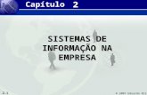 2.1 © 2007 Eduardo Brião 2 2 SISTEMAS DE INFORMAÇÃO NA EMPRESA Capítulo.