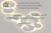 Universidade Federal de Santa Catarina Programa de Pós-Graduação em Biotecnologia Disciplina: Processos Biotecnológicos Potencial biotecnológico de aplicação.