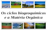 Os ciclos biogeoquímicos e a Matéria Orgânica. Introdução Microrganismos e as atividades biológicas Solo: maior reservatório de microrganismos do planeta.