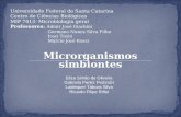 Microrganismos simbiontes Eliza Simão de Oliveira Gabriela Panitz Pedralli Laidequer Táboas Silva Ricardo Filipe Riffel Universidade Federal de Santa Catarina.