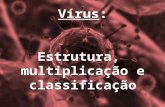 Vírus: Estrutura, multiplicação e classificação. 1392: na Inglaterra o primeiro relato sobre vírus = veneno 1728: primeiro relato de sua relação com infecção.