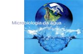 Microbiologia da água. Ciclo hidrológico Introdução No meio aquático os nutrientes estão diluídos: baixa diversidade microbiana A presença de matéria.