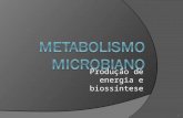 Produção de energia e biossíntese 1. 1. Introdução Metabolismo: toda a atividade química realizada por um organismo e seu maquinário. toda a atividade.