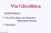 AMPA 2003 Azevedo,AMP SINÔNIMOS: Via Glicolítica de Embden- Meyerhof-Parnas Meyerhof-Parnas Glicólise Via Glicolítica.