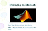 Iniciação ao MatLab Prof a Dr a. Rossana Lott Rodrigues PPE - Departamento de Economia / UEL - 2009.