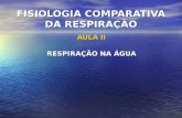 FISIOLOGIA COMPARATIVA DA RESPIRAÇÃO AULA II RESPIRAÇÃO NA ÁGUA.