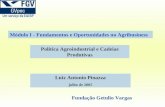 Política Agroindustrial e Cadeias Produtivas Luiz Antonio Pinazza julho de 2005 Fundação Getulio Vargas Módulo I - Fundamentos e Oportunidades no Agribusiness.