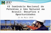 XI Seminário Nacional de Petróleo e Gás Natural no Brasil: Desafios e Oportunidades 25 de Maio 2010 Brasília - BSB.