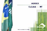 AGROEX Cuiabá - MT 30 de outubro de 2008. Fundado em 20 de junho de 1952; Empresa pública de propriedade integral da União Federal; Principal fonte de.
