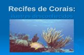 Recifes de Corais: ilustres desconhecidos. De cada quatro espécies marinhas, uma vive em ambientes recifais (incluindo 65% dos peixes).