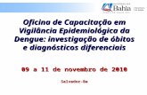 Oficina de Capacitação em Vigilância Epidemiológica da Dengue: investigação de óbitos e diagnósticos diferenciais 09 a 11 de novembro de 2010 Salvador-Ba.