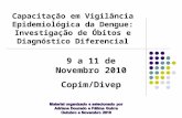 Capacitação em Vigilância Epidemiológica da Dengue: Investigação de Óbitos e Diagnóstico Diferencial 9 a 11 de Novembro 2010 Copim/Divep.