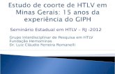 Seminário Estadual em HTLV – RJ -2012 Grupo Interdisciplinar de Pesquisa em HTLV Fundação Hemominas Dr. Luiz Cláudio Ferreira Romanelli.