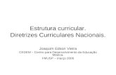 Estrutura curricular. Diretrizes Curriculares Nacionais. Joaquim Edson Vieira CEDEM – Centro para Desenvolvimento da Educação Médica. FMUSP – março 2006.