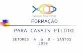 FORMAÇÃO PARA CASAIS PILOTO SETORES A e B – SANTOS 2010.