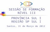 SESSÃO SE FORMAÇÃO NÍVEL III PROVÍNCIA SUL I REGIÃO SP SUL I Santos, 31 de Março de 2012.