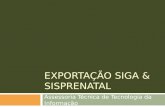 EXPORTAÇÃO SIGA & SISPRENATAL Assessoria Técnica de Tecnologia da Informação.