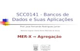 SCC0141 - Bancos de Dados e Suas Aplicações Prof. Jose Fernando Rodrigues Junior Material original: Elaine Parros Machado de Sousa MER-X Agregação.