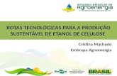 ROTAS TECNOLÓGICAS PARA A PRODUÇÃO SUSTENTÁVEL DE ETANOL DE CELULOSE Cristina Machado Embrapa Agroenergia.