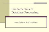 Fundamentals of Database Processing Hugo Feitosa de Figueirêdo