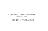MILHO + PASTAGEM ATIVIDADES - EMBRAPA MILHO E SORGO - 2006.