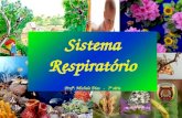Sistema Respiratório Profª. Michele Dias - 7ª série.