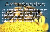 Artrópodos Os artrópodos formam o filo mais numeroso com mais de 1 000 000 de espécies, se encontram em todos os ambientes do planeta. Abelha – Apis melifera.
