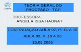 TEORIA GERAL DO PROCESSO - TGP PROFESSORA ANGELA ISSA HAONAT CONTINUAÇÃO AULA 02, P. 14 A 18 AULA 03, P. 19 A 23 25.08.2005.