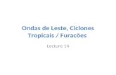 Ondas de Leste, Ciclones Tropicais / Furacões Lecture 14