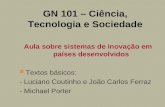 GN 101 – Ciência, Tecnologia e Sociedade Aula sobre sistemas de inovação em países desenvolvidos Textos básicos: - Luciano Coutinho e João Carlos Ferraz.