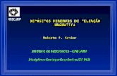 UNICAMP DEPÓSITOS MINERAIS DE FILIAÇÃO MAGMÁTICA Roberto P. Xavier Instituto de Geociências – UNICAMP Disciplina: Geologia Econômica (GE-803)