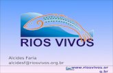 Www.riosvivos.org.br Alcides Faria alcidesf@riosvivos.org.br.