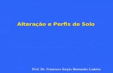Altera§£o e Perfis de Solo Prof. Dr. Francisco Sergio Bernardes Ladeira