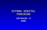 SITEMA GENITAL FEMININO INSTRUÇÃO IV MAMA. ALTERAÇÃO FIBROCÍSTICA a partir da segunda década extendendo-se a peri-menopausa. Clínica: mastalgia (dor),