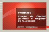 PRONATEC Criação de Ofertas (turmas) e Registro de Frequência. Fevereiro/2013.