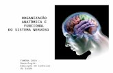 ORGANIZACÃO ANATÔMICA E FUNCIONAL DO SISTEMA NERVOSO FAMEMA 2010 – Neurologia- Educação em Ciências da Saúde.