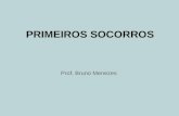PRIMEIROS SOCORROS Prof. Bruno Menezes. Introdução Os Primeiros Socorros ou socorro básico de urgência são as medidas iniciais e imediatas dedicadas à